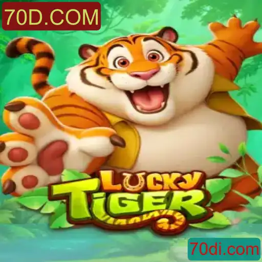 Tudo o que você precisa saber sobre LuckyTiger e 70D.COM